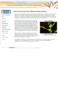 Mobile Screenshot of ngpherbaria.org